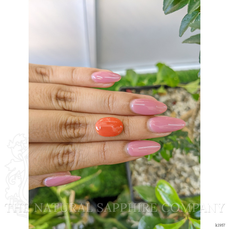 3.02 Ct. Cabochon Coral from Italy