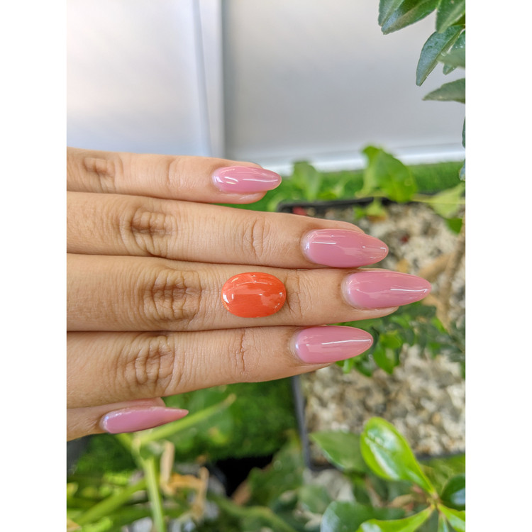 3.02 Ct. Cabochon Coral from Italy