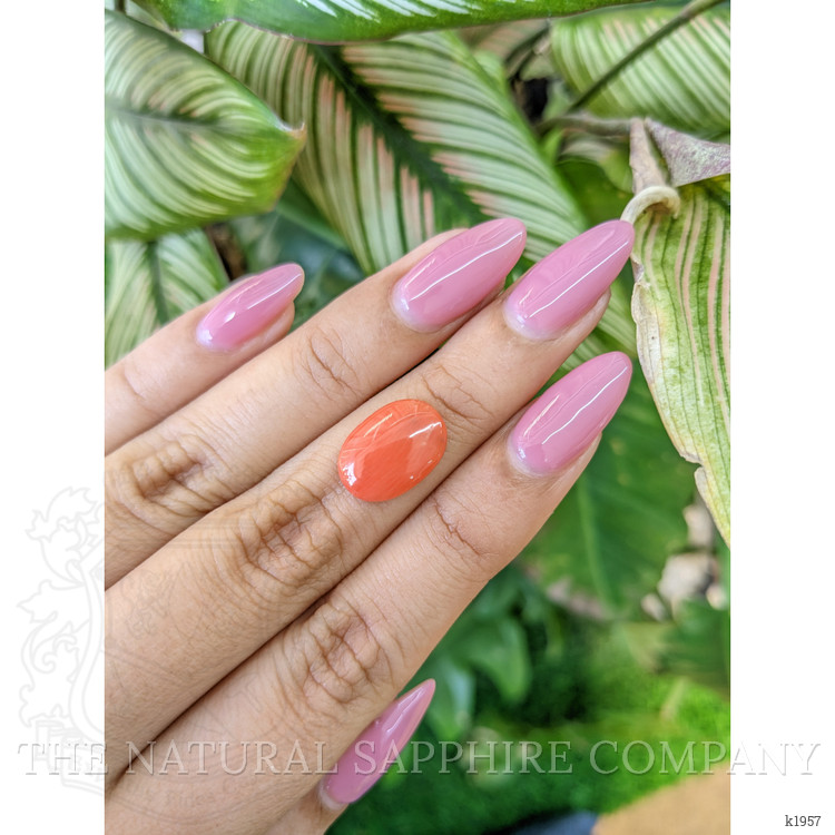 3.02 Ct. Cabochon Coral from Italy