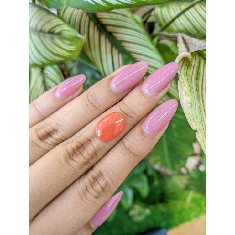 3.02 Ct. Cabochon Coral from Italy