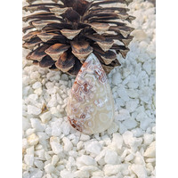 62.61 Ct. Cabochon Agate from Madagascar Life Style