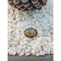 14.74 Ct. White Opal from Madagascar Life Style