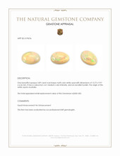 3.89 Ct. Cabochon White Opal from Australia Appraisal