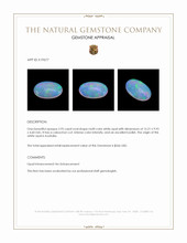 2.95 Ct. Cabochon White Opal from Australia Appraisal