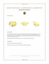 14.17 Ct. Yellow Beryl from Ceylon (Sri Lanka) Appraisal