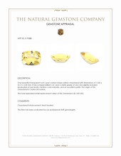 4.43 Ct. Golden Yellow Beryl from Ceylon (Sri Lanka) Appraisal