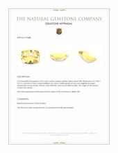 4.43 Ct. Golden Yellow Beryl from Ceylon (Sri Lanka) Appraisal