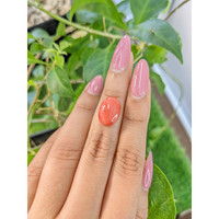 5.79 Ct. Cabochon Coral from China Life Style