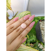 7.78 Ct. Cabochon Coral from Italy Life Style