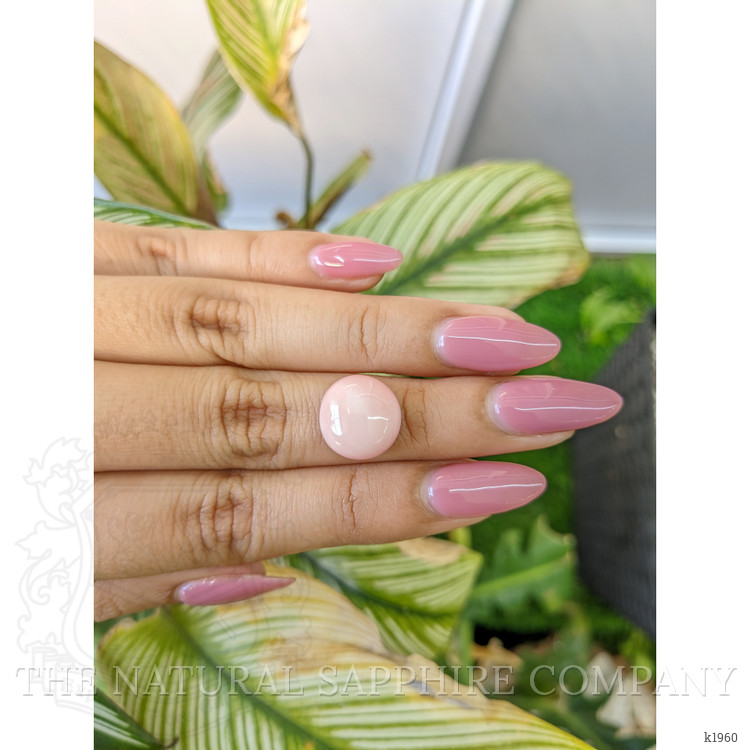 7.78 Ct. Cabochon Coral from Italy