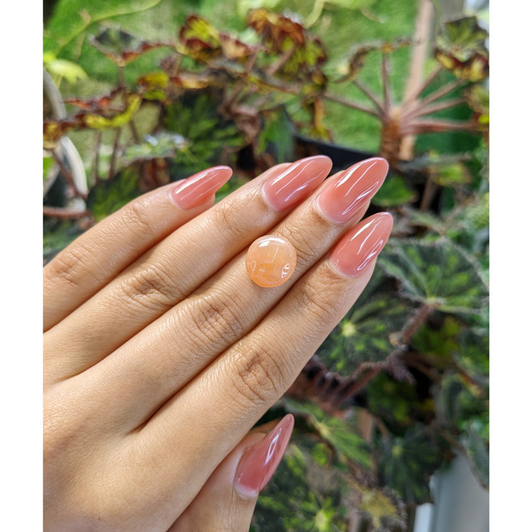 5.68 Ct. Cabochon Agate from Brazil