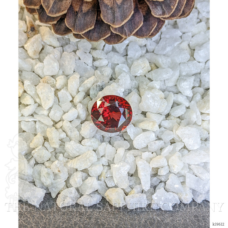 11.65 Ct. Garnet from Ceylon (Sri Lanka)