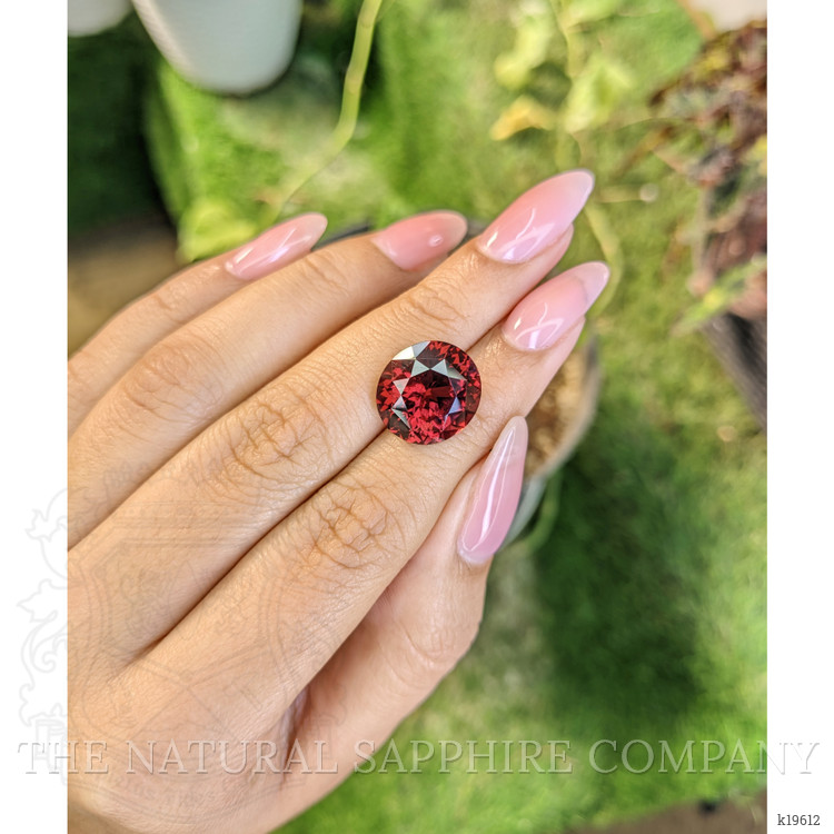 11.65 Ct. Garnet from Ceylon (Sri Lanka)