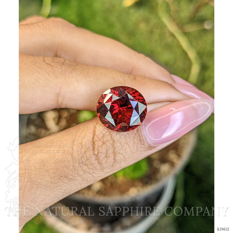 11.65 Ct. Garnet from Ceylon (Sri Lanka)