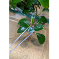 6.92 Ct. Fluorite Life Style