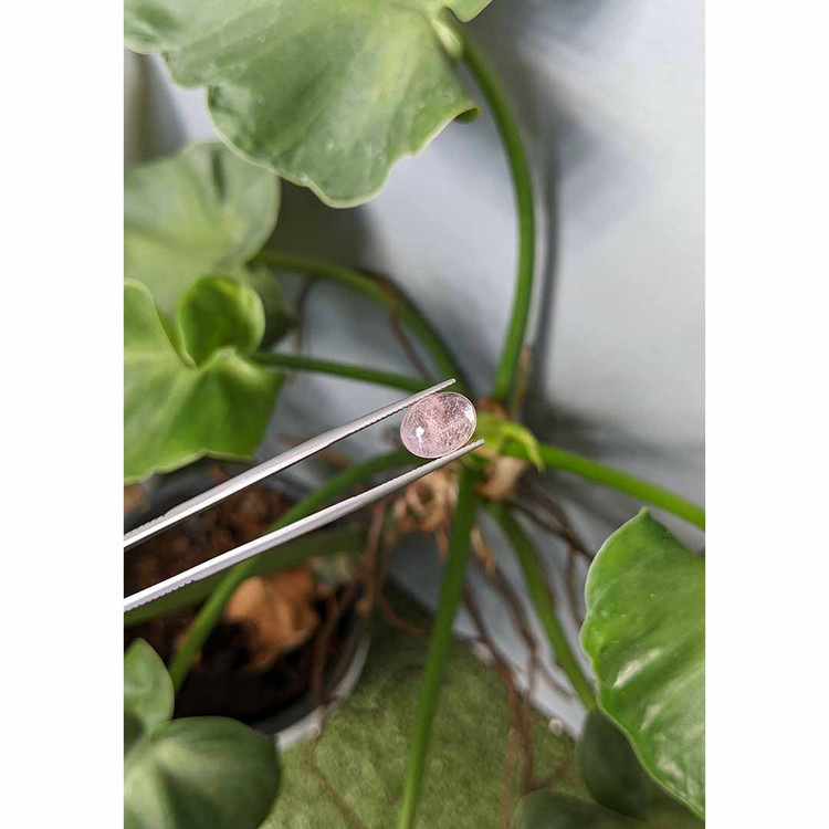 4.26 Ct. Cabochon Morganite from Brazil