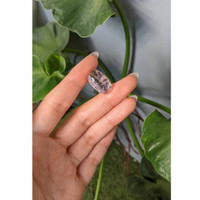 11.24 Ct. Cabochon Morganite from Brazil Life Style