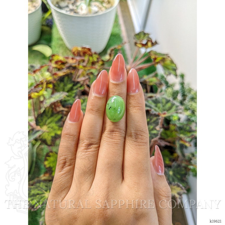 20.70 Ct. Cabochon Jade from Burma (Myanmar)