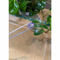 10.14 Ct. Tanzanite from Tanzania Life Style