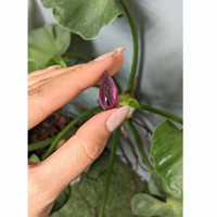 11.14 Ct. Purple Cabochon Tourmaline from Brazil Life Style