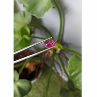 3.94 Ct. Cabochon Tourmaline from Brazil Life Style
