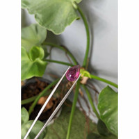 5.52 Ct. Purple Cabochon Tourmaline from Brazil Life Style