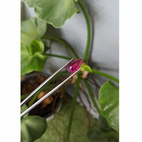 3.75 Ct. Cabochon Tourmaline from Brazil Life Style