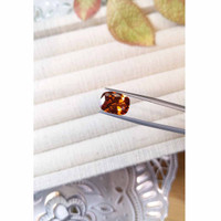 5.88 Ct. Spessartite Garnet from Madagascar Life Style