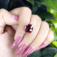 6.66 Ct. Garnet from Tanzania Life Style