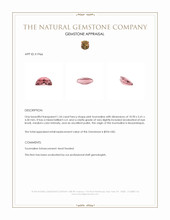 1.54 Ct. Tourmaline from Mozambique Appraisal