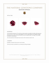 2.93 Ct. Pinkish Red Rubellite Tourmaline from Mozambique Appraisal