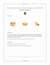 4.83 Ct. Hessonite Garnet from Ceylon (Sri Lanka) Appraisal