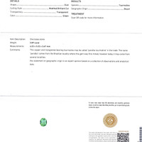0.89 Ct. Paraiba Tourmaline from Brazil Scan Report