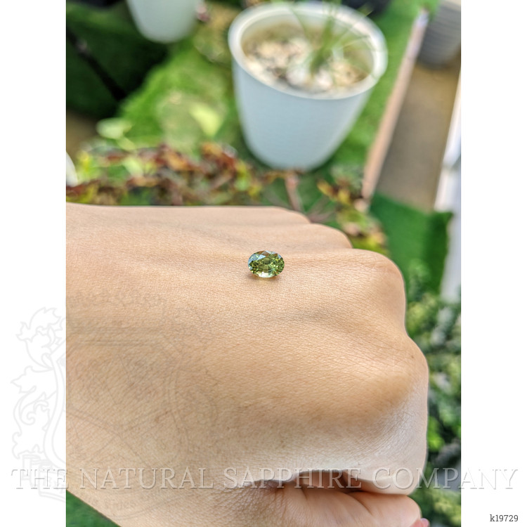 1.12 Ct. Chrysoberyl from Ceylon (Sri Lanka)