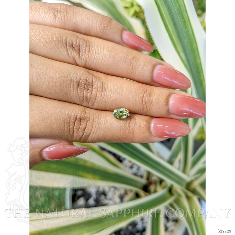 1.12 Ct. Chrysoberyl from Ceylon (Sri Lanka)