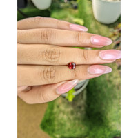 0.85 Ct. Garnet from Ceylon (Sri Lanka) Life Style