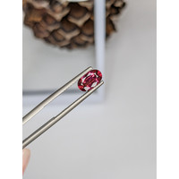 1.46 Ct. Garnet from Ceylon (Sri Lanka) Life Style