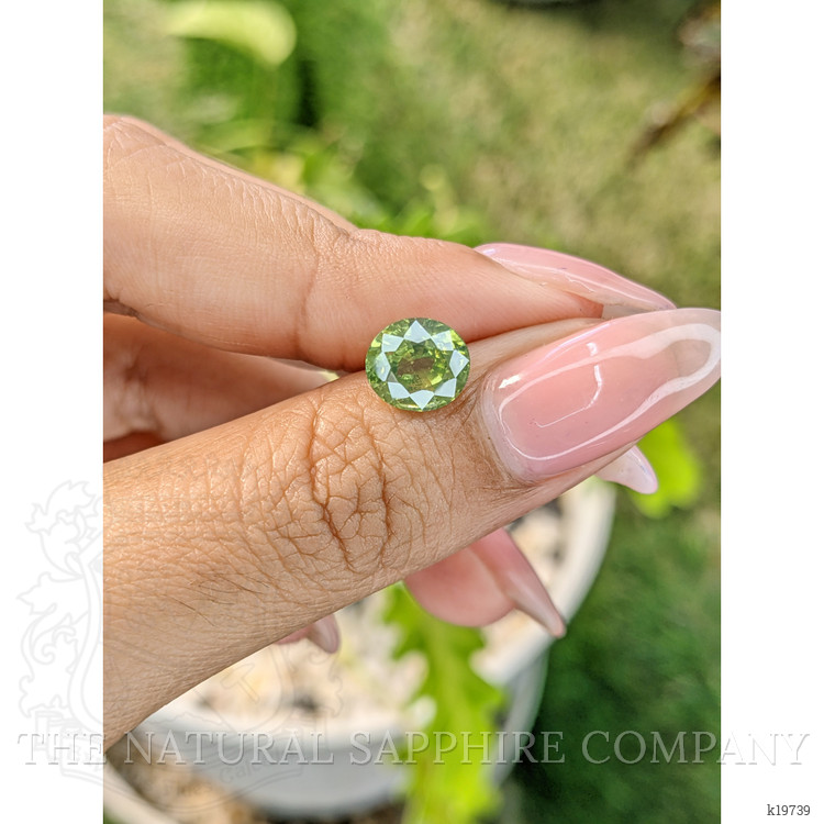3.01 Ct. Tourmaline from Ceylon (Sri Lanka)