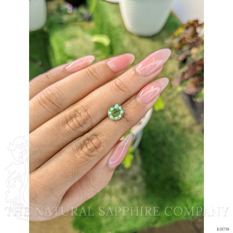 3.01 Ct. Tourmaline from Ceylon (Sri Lanka)