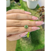 3.01 Ct. Tourmaline from Ceylon (Sri Lanka) Life Style