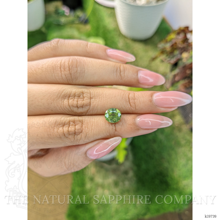 3.01 Ct. Tourmaline from Ceylon (Sri Lanka)