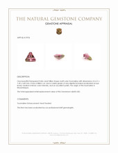 0.86 Ct. Tourmaline from Mozambique Appraisal