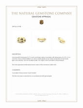 0.73 Ct. Tourmaline from Mozambique Appraisal