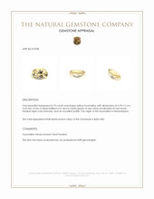 0.73 Ct. Tourmaline from Mozambique Appraisal