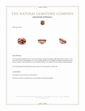 0.74 Ct. Tourmaline from Mozambique Appraisal