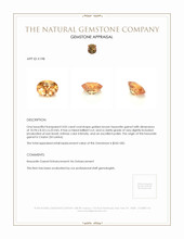 4.05 Ct. Hessonite Garnet from Ceylon (Sri Lanka) Appraisal
