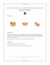 4.05 Ct. Hessonite Garnet from Ceylon (Sri Lanka) Appraisal