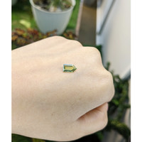 1.05 Ct. Alexandrite from Ceylon (Sri Lanka) Life Style