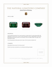 0.64 Ct. Alexandrite from Brazil Appraisal