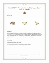 0.93 Ct. Tourmaline from Mozambique Appraisal